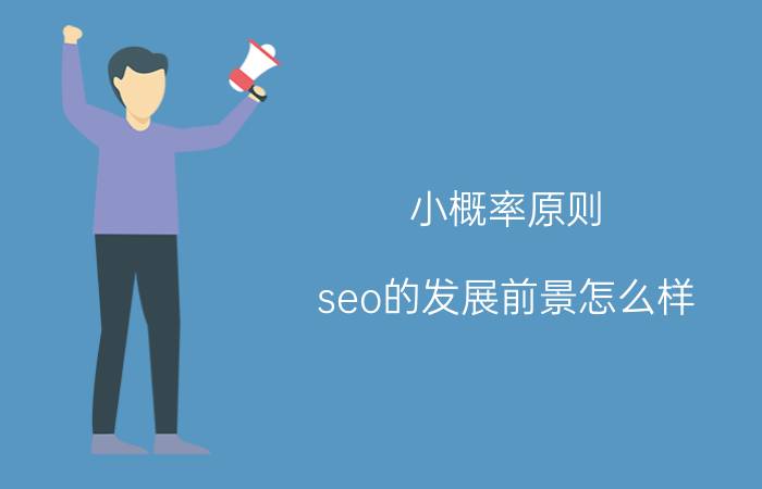 小概率原则 seo的发展前景怎么样？